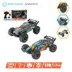 Auto Buggy 1:10 Radiocomando